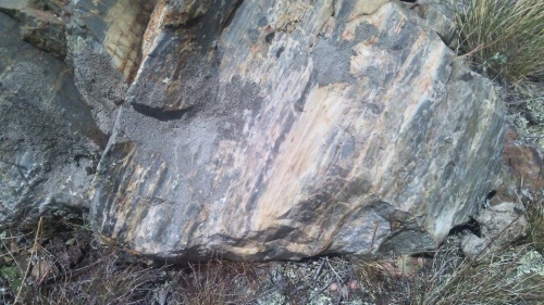 Гигантские зелёные валуны для ландшафтного дизайна весом более 5 тонн купить в Магнитогорске