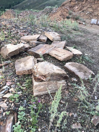 Пошаговая дорожка из плит златолит кора дерева купить в Магнитогорске